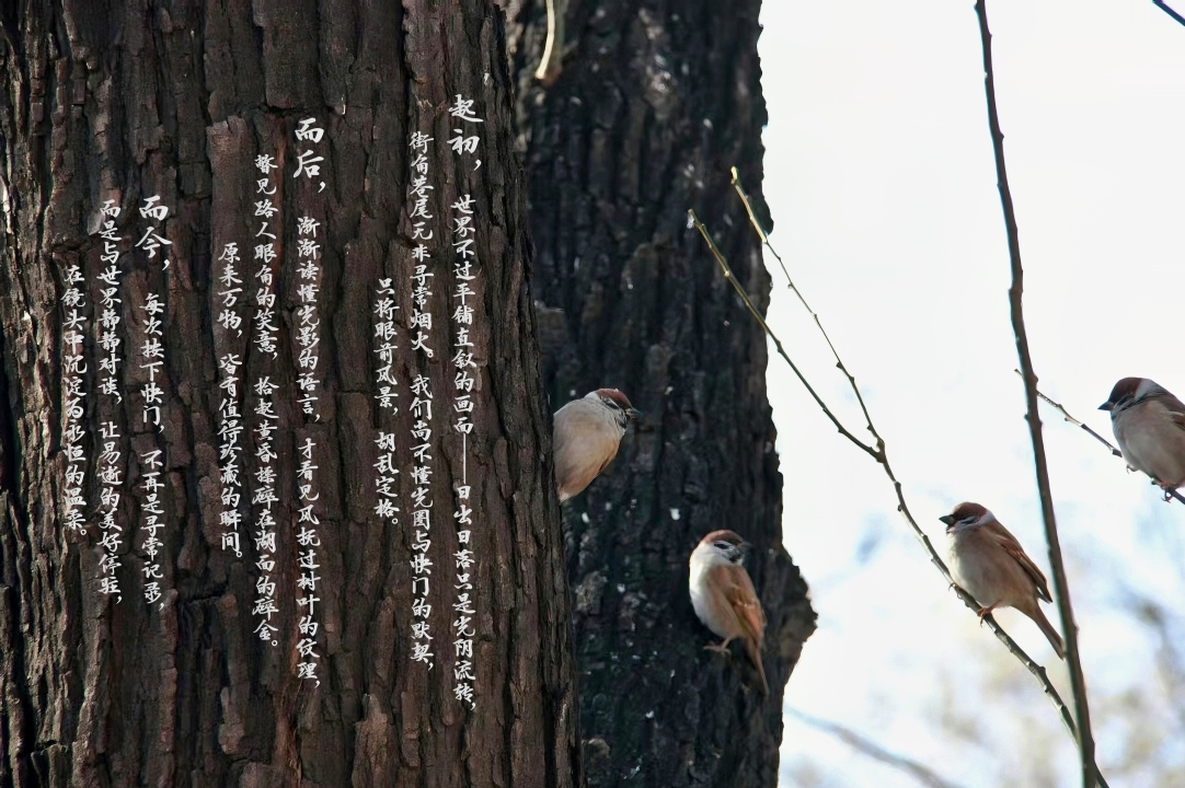海报2.jpg 海报2.jpg